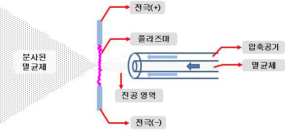 플라즈마를 이용해 멸균제의 일부를 라디칼화 하였다고 주장하는 멸균장비 제조회사의 이론.