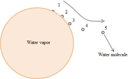 물의 증기로부터 물분자가 에너지를 이용하여 증기의 표면에서 증발되어 가는 과정
