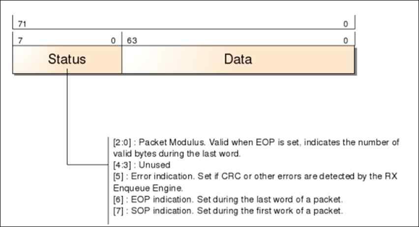 RX FIFO format