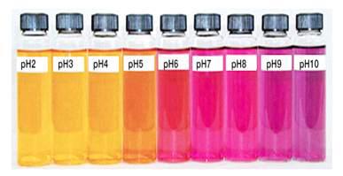 코치닐 색소(카르민산)의 pH에 따른 색조 변화