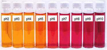 락 색소(락카인 산)의 pH에 따른 색조 변화