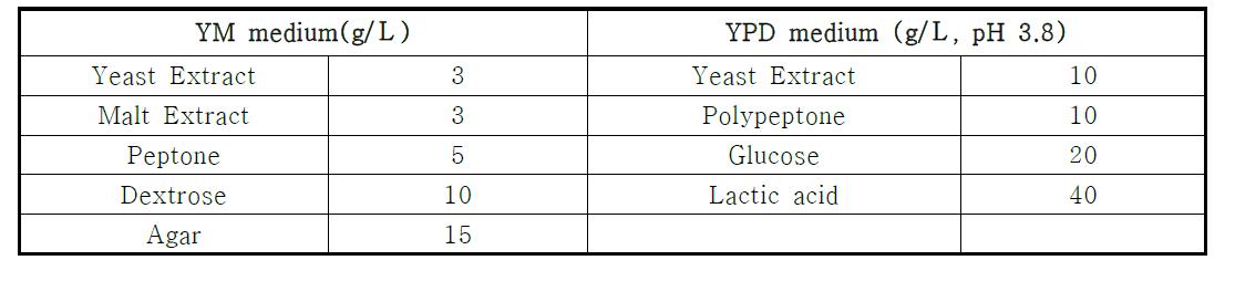 YM과 YPD의 배지조성