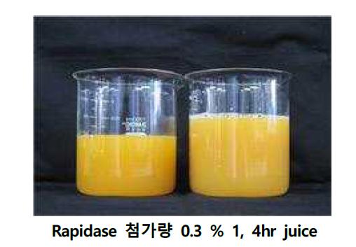 Rapidase 처리 시간에 따른 대봉감 주스.