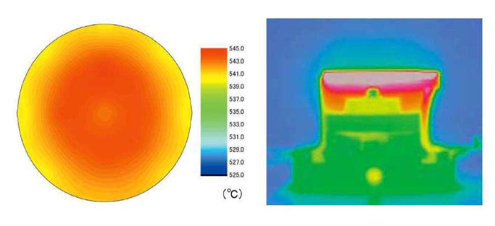 ALN Ceramic Heater의 표면 온도 분포(좌) 및 횡단면의 온도 분포(우)의