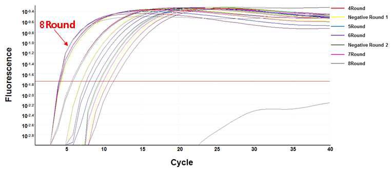 각 SELEX round의 Real-time PCR 결과