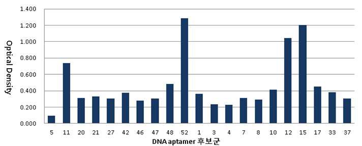 정제된 당화혈색소와 DNA 앱타머 반응성 검사 결과