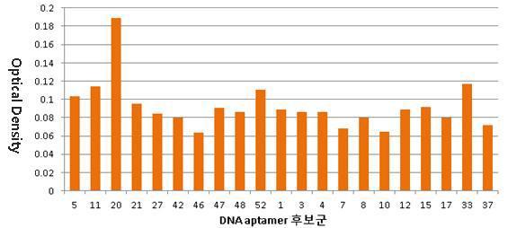 실제 환자의 혈액 (낮은 HbA1c 농도) 내 당화혈색소와 DNA 앱타머 반응성 검사 결과