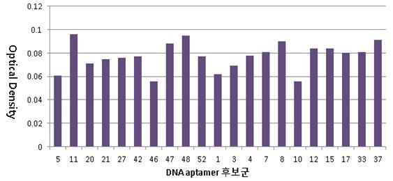 실제 환자의 혈액 (높은 HbA1c 농도) 내 당화혈색소와 DNA 앱타머 반응성 검사 결과