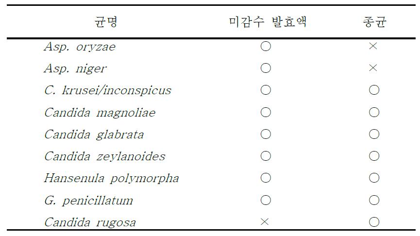 미감수 발효액과 종균의 PDA 배지에서 생육하는 균의 동정