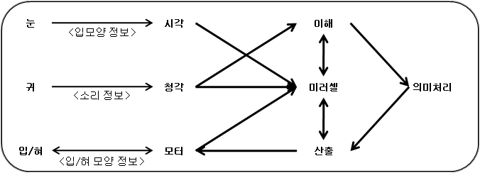 청각언어중추의 미러셀 학습 및 발현 과정