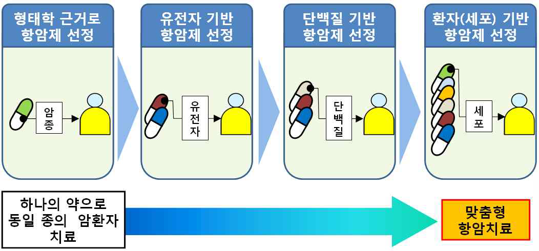 맞춤형 항암치료의 변화 추세