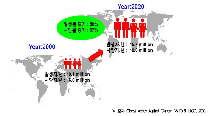 세계 암환자 발생률 및 사망률