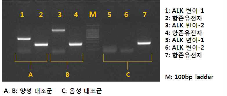 당사 대조군 실험에서 유전자 변이 확인