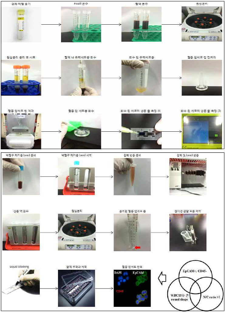 폐암의 CTC 분리 및 식별 공정