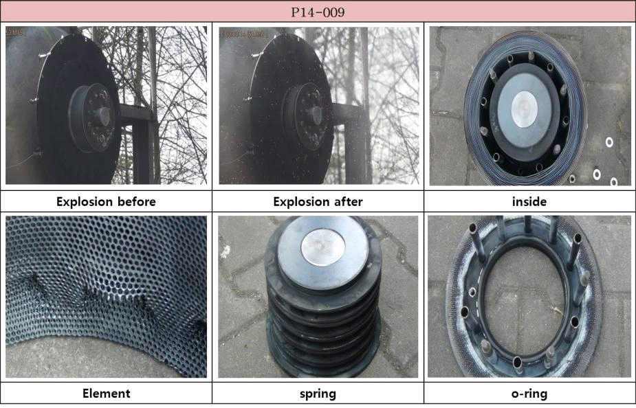 Sample P14-009 폭발 시험
