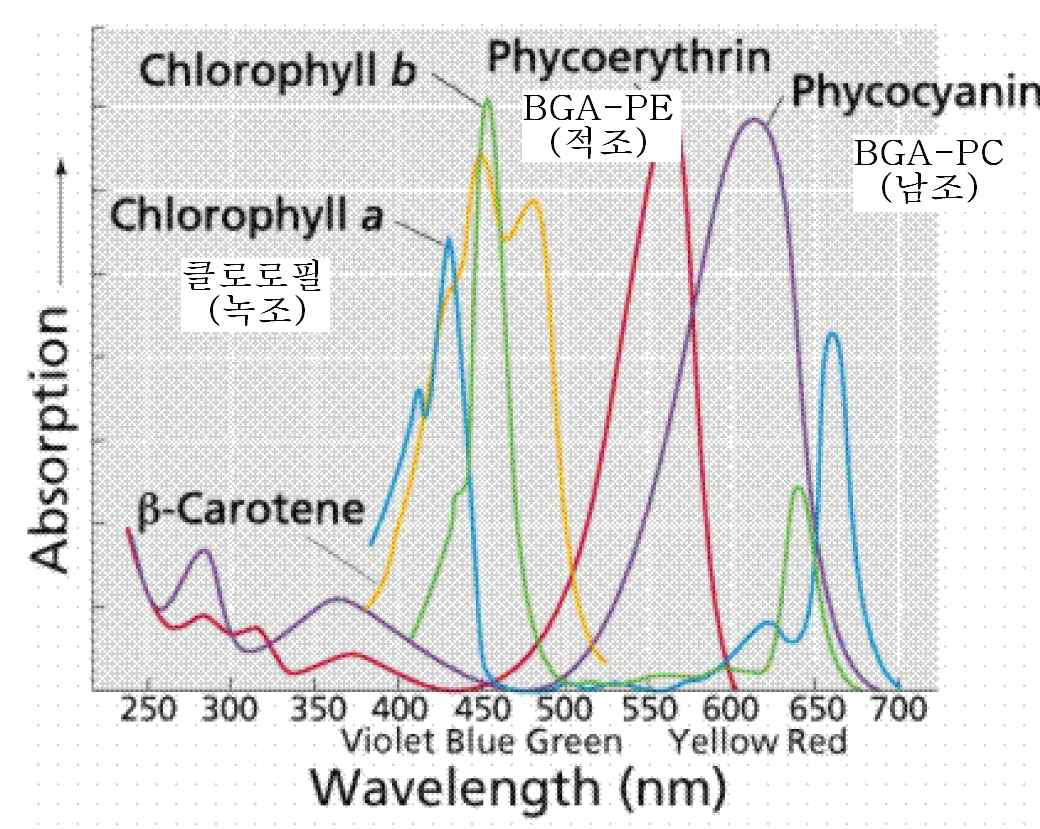 각 조류별 형광 파장 대역
