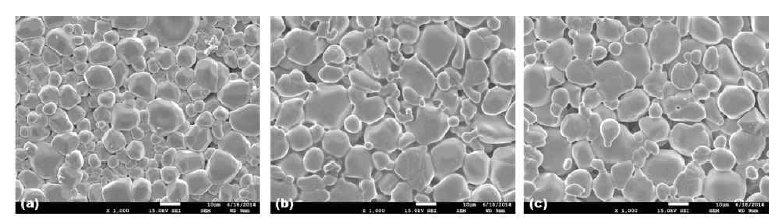 소성온도에 따른 형광세라믹 플레이트의 표면 SEM.