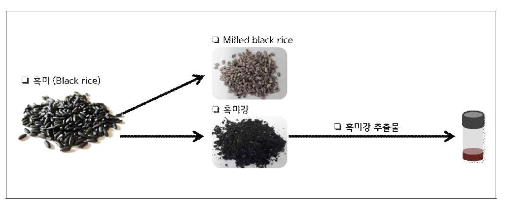 흑미강 및 흑미강 추출물 제조