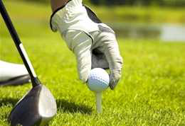 Golf Sense Glove