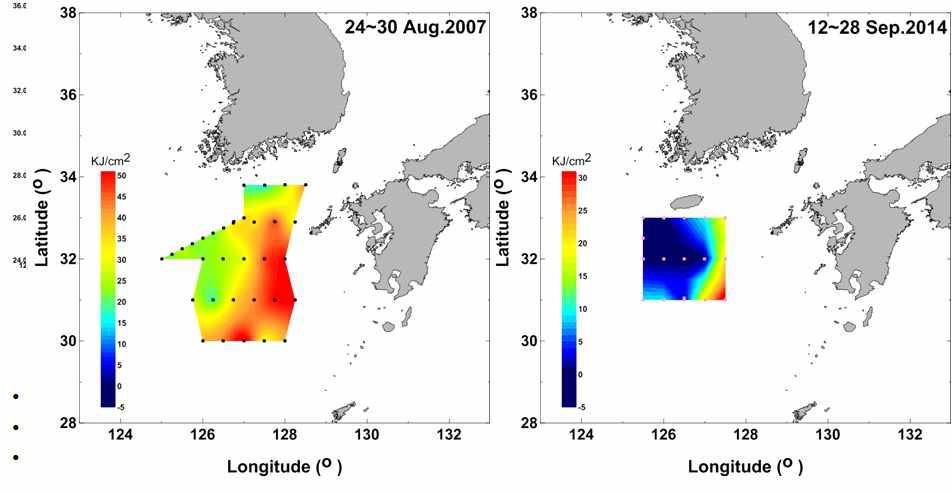 2014년 9월 중순 해양열용량(Ocean heat content)(우측그림). 관측점 서부는 서쪽에서 저층냉수의 유입으로 열용량이 작으며, 동쪽은 대마난류로 인해 상대적으로 열용량이 큼. 2007년 8월말(좌측) 최대 열용량이 70 KJ/cm2 에 달함