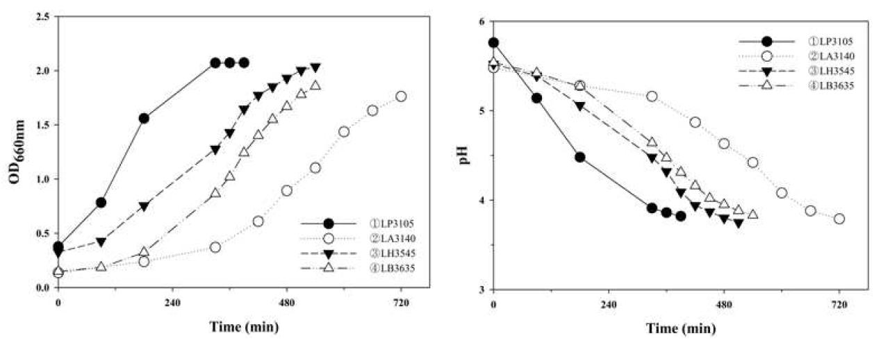 4종의 Lactobacillus 의 시간에 따른 흡광도와 pH 변화를 통한 성장 확인.
