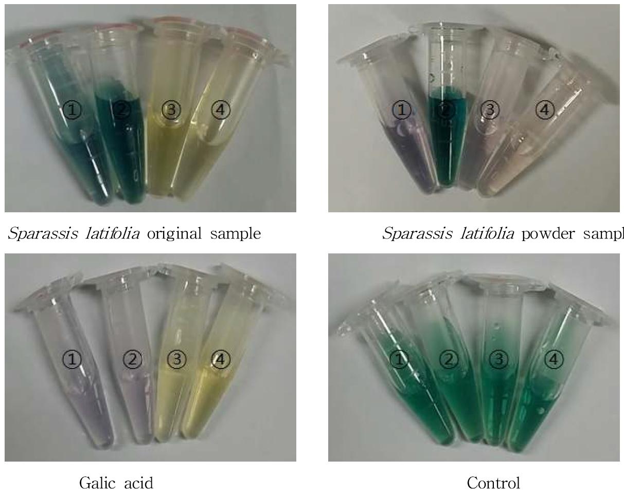 각 sample의 ABTS 반응 색깔 변화.