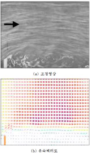 그림 3.14 (LS)PIV 기법의 조정영 상 및 유속벡터도