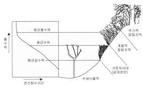 그림 2.19 하천변 수생분포역 과 수심관계 (국립방재연구소 , 1999)