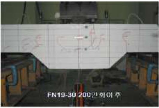 그림 2.16 FN19-30 200만회 반복작용후