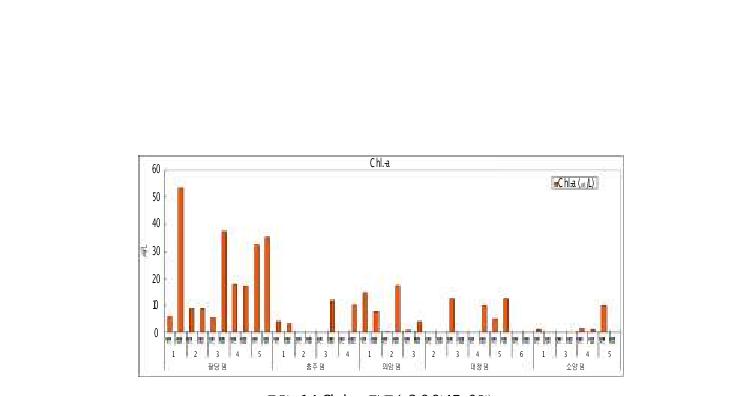 그림 14 Chl.-a 자료(2004년 7-8월)