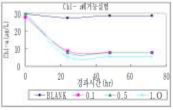 그림 4.2 황산동 주입농도별 Chl.-a 변화