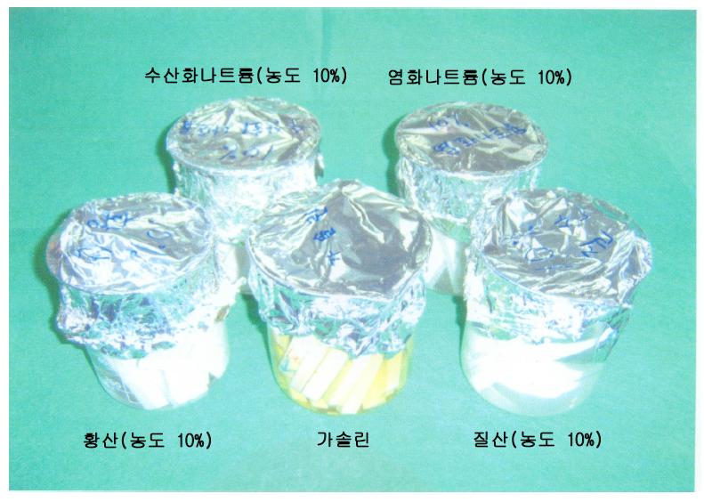 내약품성시험 장면