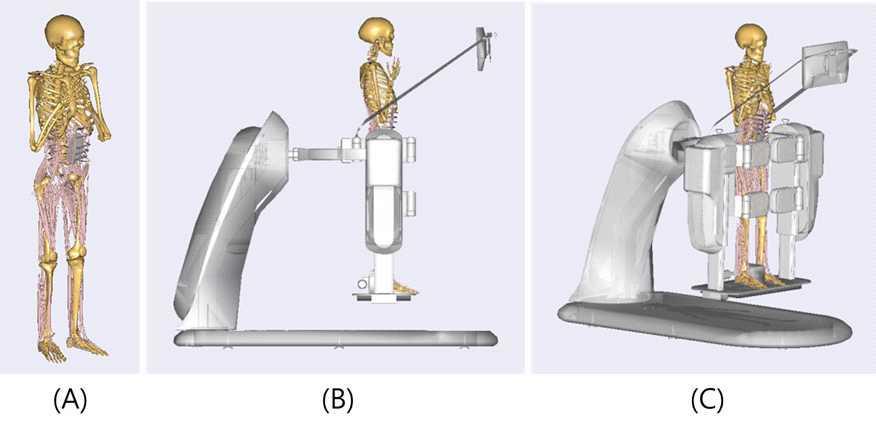 (A)전신 인체모델링 모식도, (B) 운동기기와 인체모델링 측면도, (C) 운동기기와 인체모델링