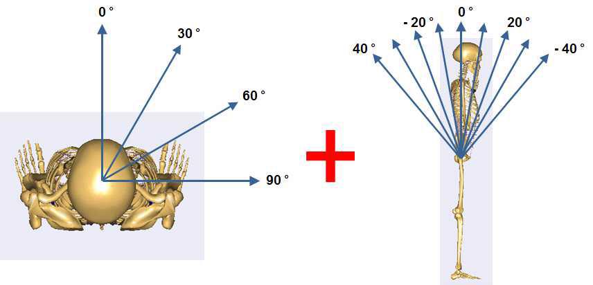 Axial rotation angles(left) & Sagittal tilting angle(right)