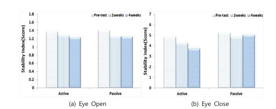 Postural Stability Test