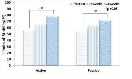 Limits of Stability Test