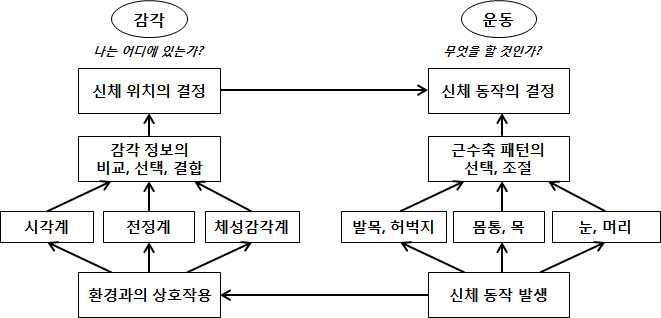 동적 평형성 모델