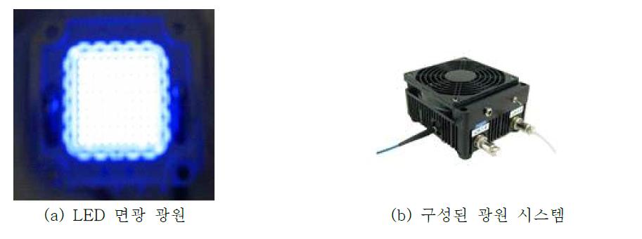 LED 면 광원과 광원 장치