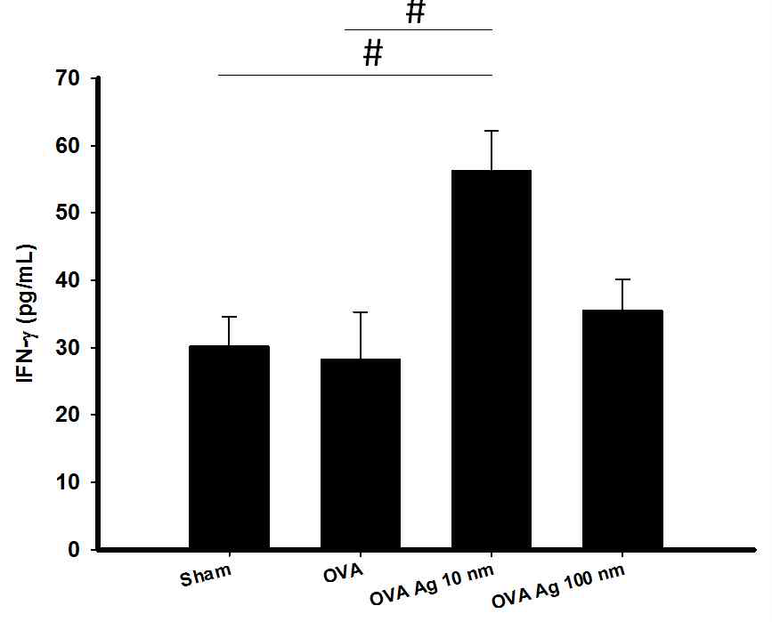 은나노입자 크기에 따른 폐 내INF-γ 양