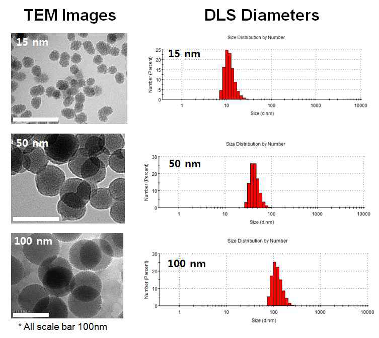 메조포러스 실리카입자의 크기에 따른 TEM 이미지와 DLS 사이즈 측정값