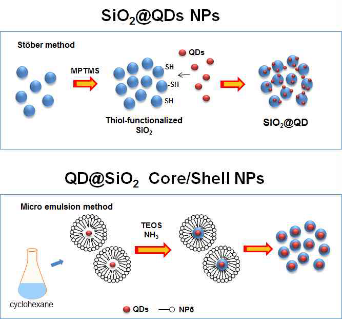 양자점이 포함된 실리카 입자의 합성 모식도