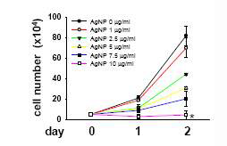 은나노입자에 의한 수지상세포 성장 억제