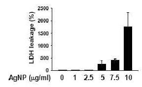 은나노입자에 의한 LDH leakage 증가