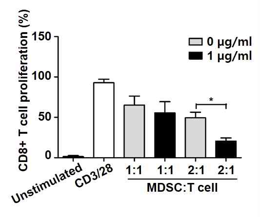 은나노입자 처리에 의한 골수유래 억제세포의 T 세포 활성 억제 능력
