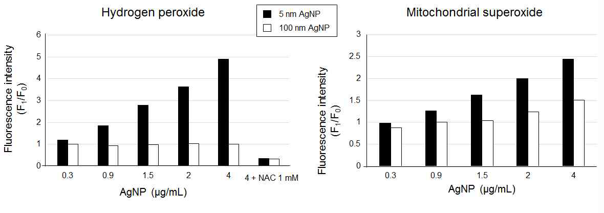 은나노입자에 의한 비만세포의 세포내 hydrogen peroxide와 미토콘드리아 superoxide 생성