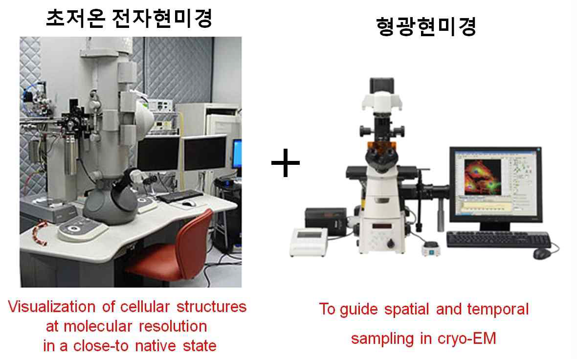 연계형 현미경 기반 초저온상 시료 관찰 이미징기법