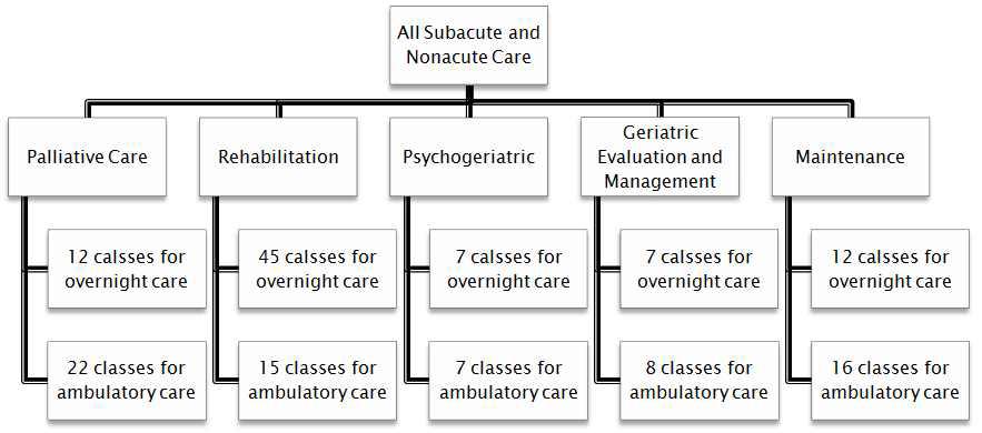 AN-SNAP casemix classification