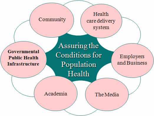 공중보건체계의 구성요소