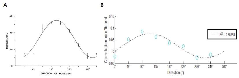 A. 신경세포의 방향선회곡선. B. fMRI 신호의 활성화 패턴분석에 의한 방향선회곡선