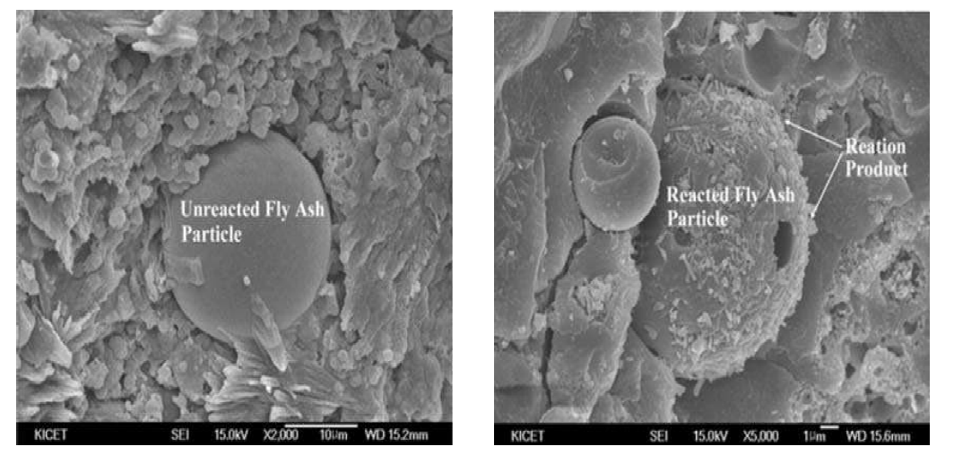 알칼리 활성화제에 의해 활성화된 플라이애쉬 SEM 사진